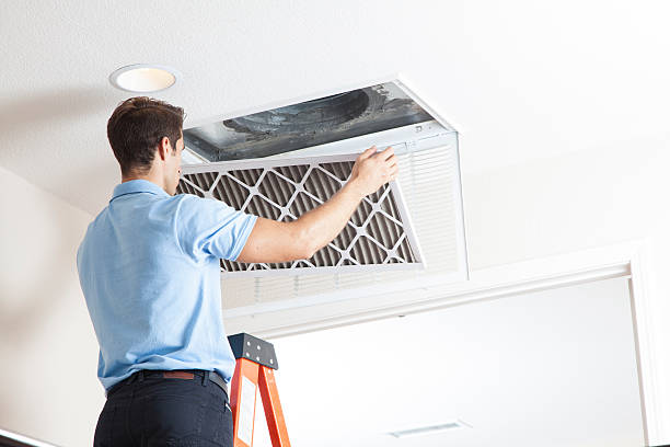 Best Air Quality Test  in Independence, MN